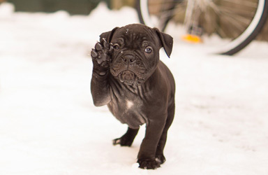 Free Stock Photos website - Skitterphoto