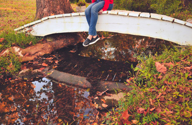 Free Stock Photos website - Stokpic