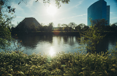 Free Stock Photo website - The Pic Pac