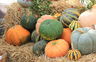 Free Stock Photo site - c00