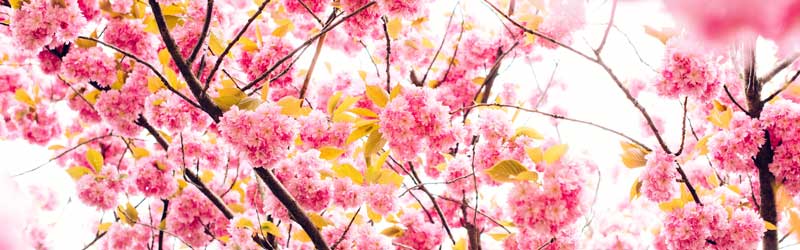 Free Stock Photo website - Finda Photo