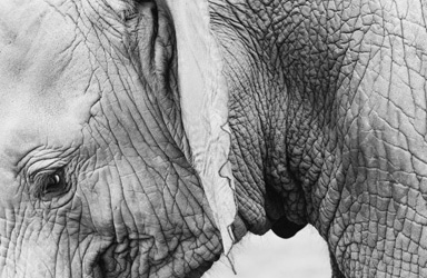 Free Stock Photos by Jay Mantri